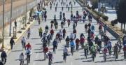 Día del Peatón: Multarán con Bs 335 a infractores
