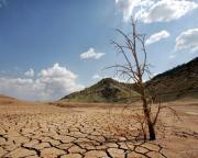 ONU advierte que el mundo superará el límite de 1,5 grados de calentamiento global