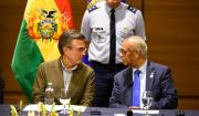 Informe de la OEA recomienda a Bolivia resolver sus diferencias por la vía pacífica y respetar el mandato constitucional