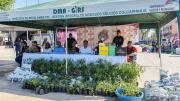 En Jornada de Reciclaje y Educación Ambiental en Colcapirhua, canjearon residuos por plantas y otros