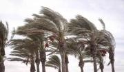 Santa Cruz tendrá una semana de cambios bruscos del clima, vientos intensos y lluvias