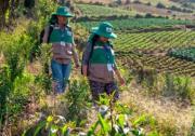 INE abre última fase de reclutamiento para el Censo Agropecuario