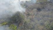 Cinco incendios activos afectan a Santa Cruz; tres de ellos están en San Rafael