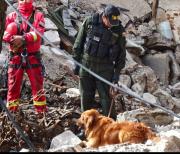El Ejército confirma que siete personas aún no fueron localizadas tras la explosión en Viacha