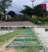 Fuertes vientos causan caída de árboles y estructuras