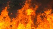 Familia queda con la ropa del cuerpo tras voraz incendio en Santa Cruz