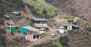 Takesi, el café boliviano de especialidad que llegó a los mercados más exigentes