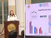 UNODC reporta aumento de cultivos de coca en el Trópico y descenso en Yungas