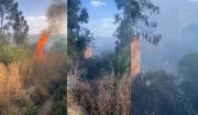 Incendio de pastizales destruyó una gomería y amenazó viviendas en Tarija
