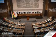 Cámara de Diputados declara al palqui como patrimonio natural del país