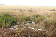 Identifican a dos funcionarios municipales fallecidos tras vuelco en la ruta a Puerto Busch