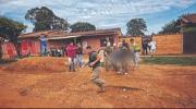 “El plan Fronteras Seguras es un mito”: asambleístas cuestionan al Gobierno por la violencia en San Ignacio