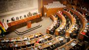 Asamblea analizará eventual ampliación del estado de excepción por 90 días