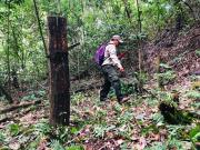 Guardaparques advierten sobre riesgos en la conservación ante reestructuración del SERNAP
