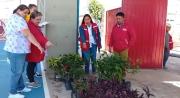 Alcaldía entrega plantines ornamentales al kínder Teófilo Yuri por su 64 aniversario