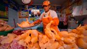 Baja el precio del pollo: en La Paz el kilo llega a Bs 12,80 y en Cochabamba a Bs 13,50