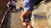 Medio Ambiente: primeras experiencias en busca de reducir uso del mercurio en la minería