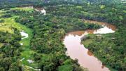 En jaque la seguridad climática del planeta por la destrucción de la Amazonía