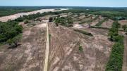Detectan 44,5 hectáreas taladas en zonas de protección de Santa Cruz