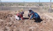 Senamhi pronostica temperaturas extremas y sequías en Tarija desde octubre