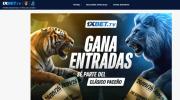 Costa niega que la FBF esté vinculada a una casa de apuestas