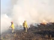 Bomberos controlan incendio de pastizales que generó una densa humareda cerca de Viru Viru