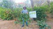 Samaipata, un festival de aromas que eleva la experiencia turística en el valle