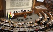 Diputados aprueban la ley del prediario y el bono de vacunación; Velasco y De Paiva saludan la decisión