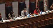 Cámara de Senadores aprueba crédito de $us 500 millones del BID para financiar la Renta Dignidad