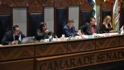 Senado sanciona ley que autoriza firma de crédito con el FMI