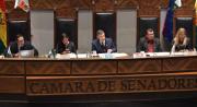 El Senado da luz verde al acuerdo entre el Estado y el FMI: la norma pasó al Ejecutivo