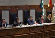 Senado sanciona el crédito de $us 1.900 millones del FMI y Bolivia avanza hacia un nuevo programa económico