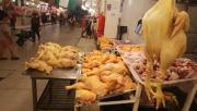 Tras fin del subsidio al diésel, avicultores anticipan incremento en el precio del pollo