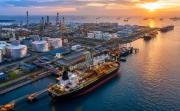 La crisis de los precios del diésel es mundial