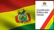 OPINIÓN La reforma constitucional ansiada Arturo Villanueva