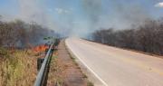 Santa Cruz registra dos incendios activos bajo monitoreo y 347 focos de calor