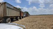 Productores declaran emergencia y dan cinco días al Gobierno para negociar por el diésel