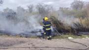Santa Cruz reporta 347 focos de calor y mantiene dos incendios activos bajo monitoreo