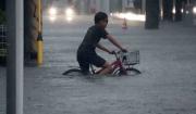 Tifón Dujuan deja 5 muertos y a miles sin energía en Japón