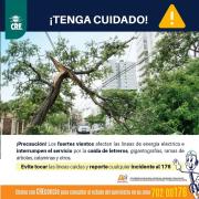 ¡TENGA CUIDADO!, FUERTES VIENTOS DAÑAN LA RED ELÉCTRICA