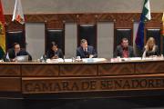 Senado sesionará este miércoles en Santa Cruz por los 216 años de su Gesta Libertaria