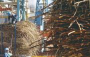 Santa Cruz mira al futuro: ¿hasta dónde puede crecer su economía?