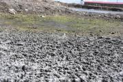 Estudio alerta que El Niño podría causar 451.000 muertes adicionales en el mundo hasta febrero