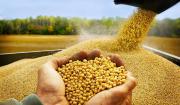 Santa Cruz tiene en Brasil, Colombia y Perú sus principales mercados, y la soya es “la reina” de sus exportaciones no tradicionales