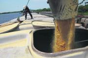 Santa Cruz, la fábrica que cambia granos por dólares