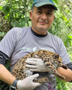 Ex becario Fulbright boliviano es parte del equipo que descubrió el Tilcayo, una nueva especie de felino