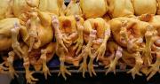 El precio del kilo de pollo baja en el eje central: sepa a cómo se comercializa este viernes