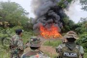 Incineran más de 1,2 toneladas de marihuana y golpean al narcotráfico con $us 1,6 millones