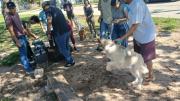 Tras confirmar un caso de rabia canina en Santa Cruz, el Sedes activa un operativo epidemiológico