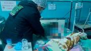 Investigan intento de infanticidio en contra de dos niños en Villazón